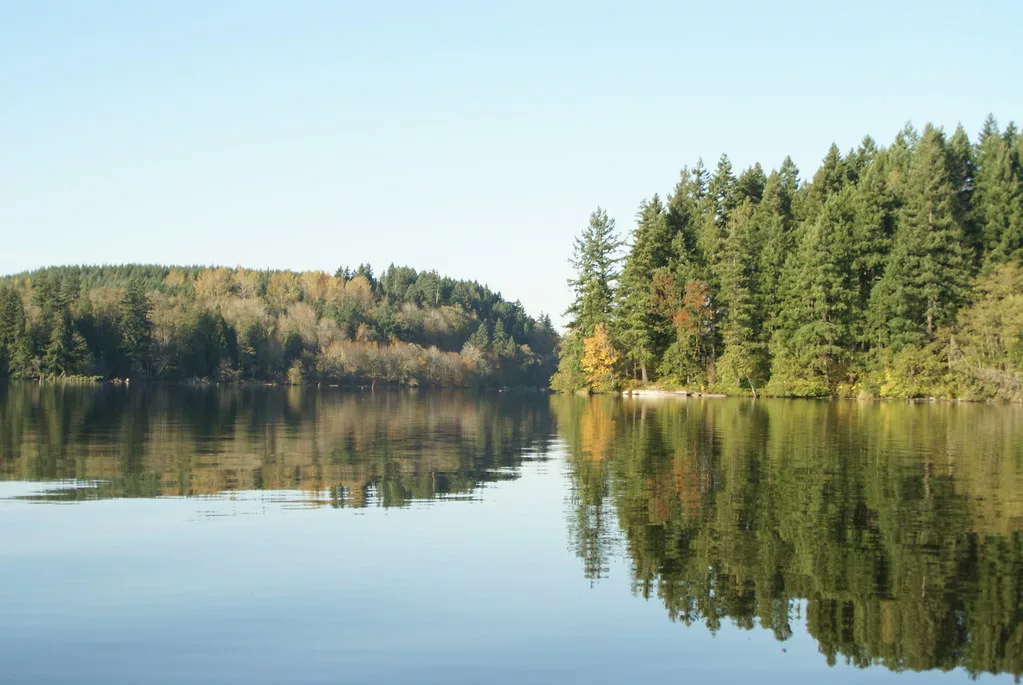 A lake surrounded by the lake Kapowsin, WA